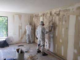 Why You Should Choose Our Mold Remediation Services in Tumwater, WA